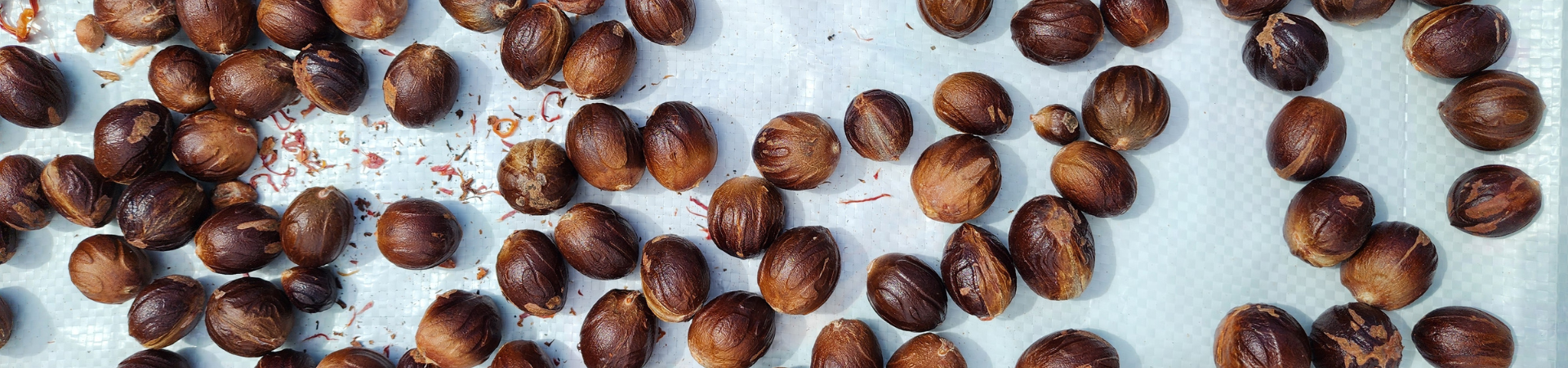 Image of Penang Round Island Food Tour