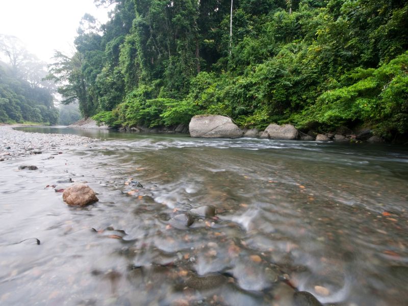Private Breakfast with Nature