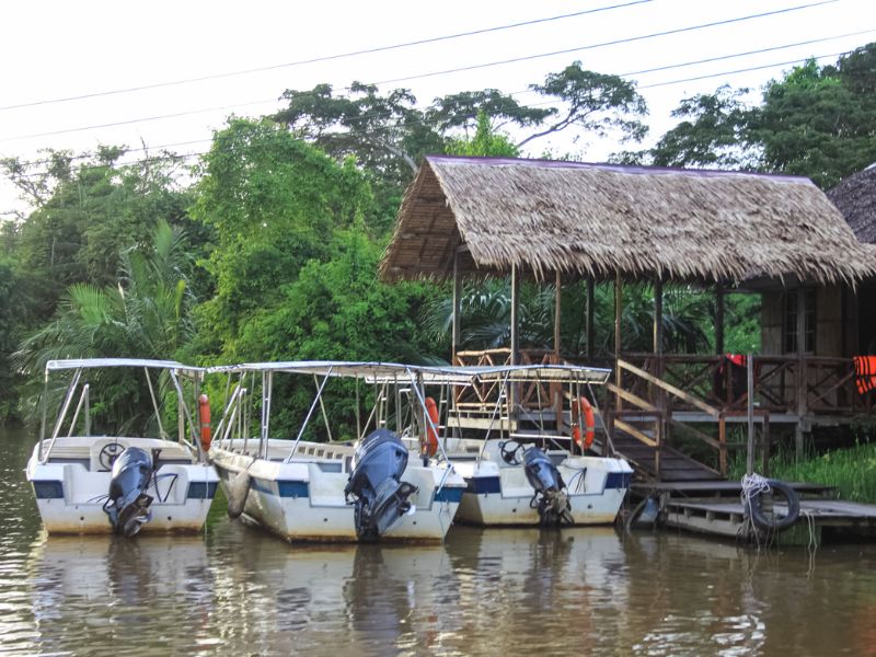 Proboscis & Fireflies Cruise