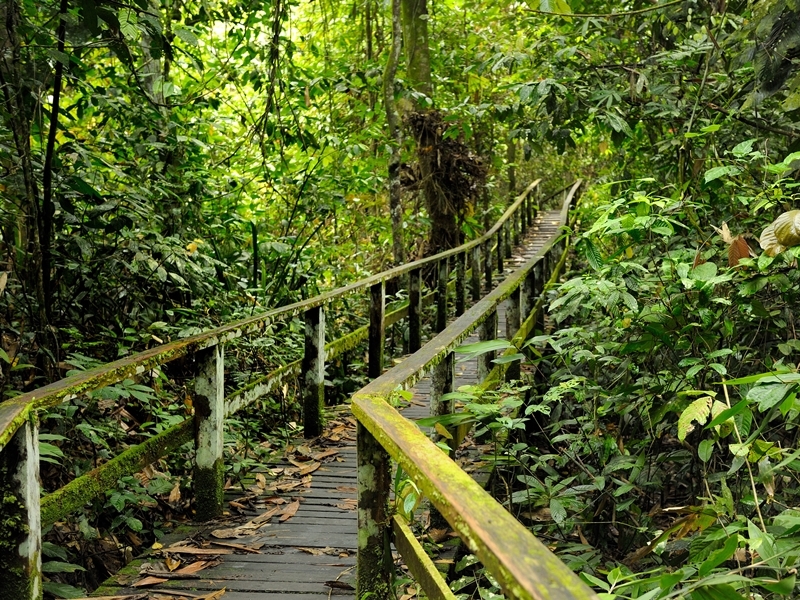 River Safari and Fireflies