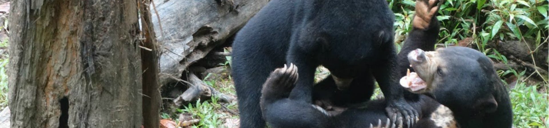 Image of Sandakan Day Trip - Ex BKI