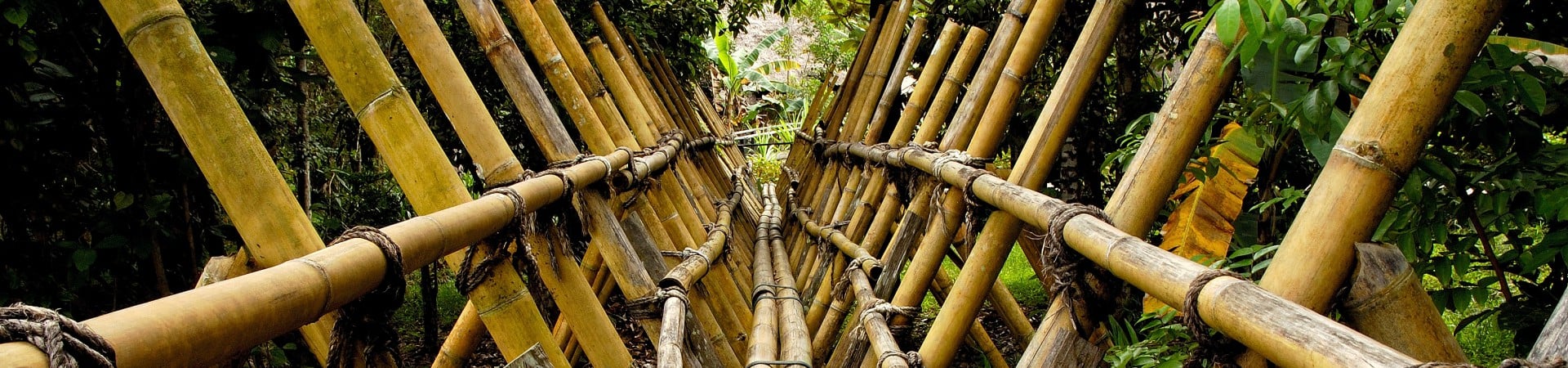 Image of Sarawak Cultural Village with Traditional Lunch