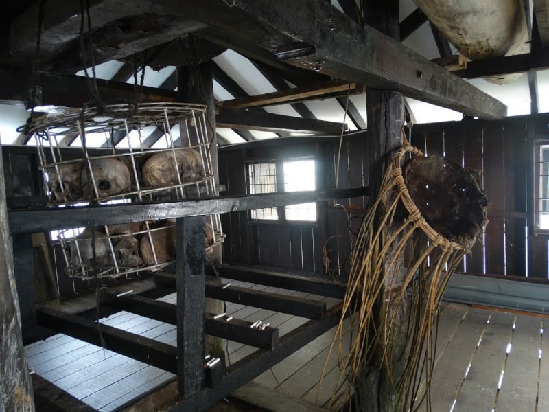 Orangutans & Tribes of Sarawak