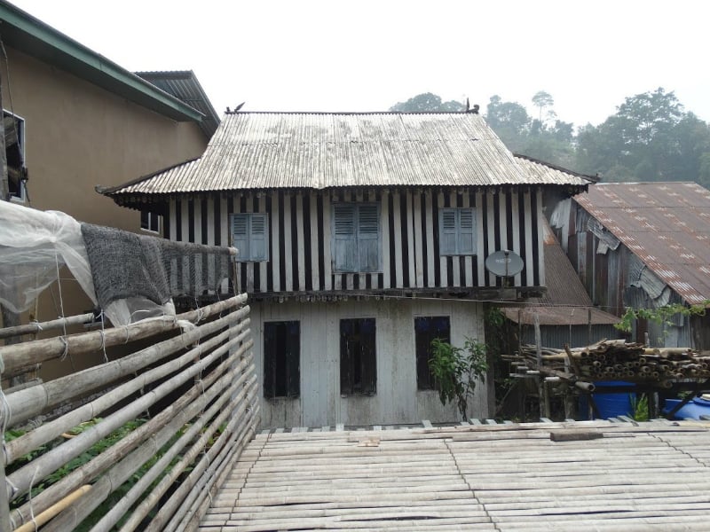 Orangutans & Tribes of Sarawak