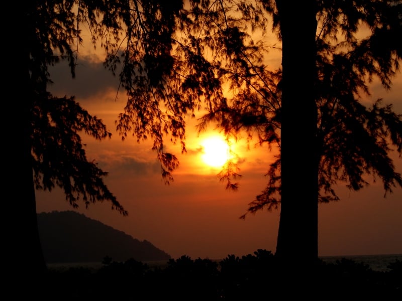 Sunset & Canapes At The Habitat (Penang Hill)