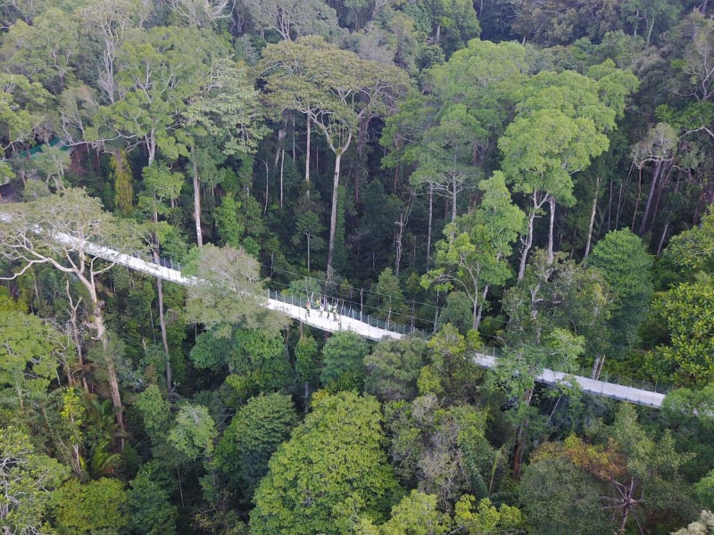 The Habitat Nature Experience