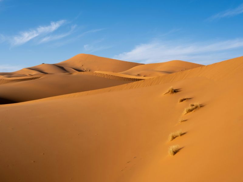 Standalone - A Day in the Sahara