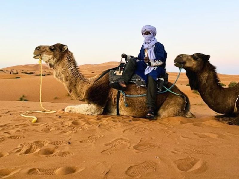 Standalone - A Day in the Sahara