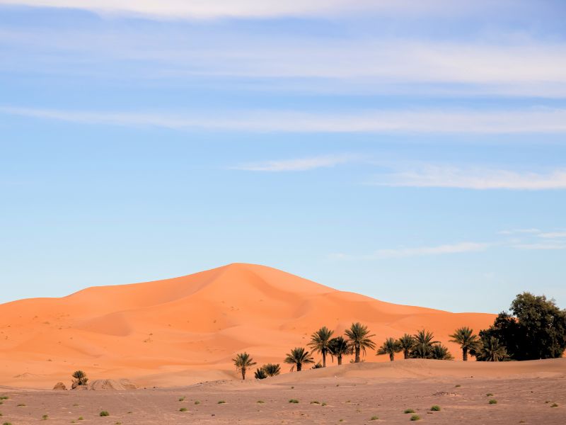 Standalone - A Day in the Sahara