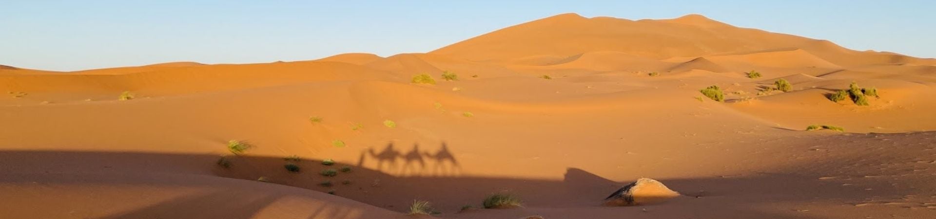 Image of Standalone - A Day in the Sahara