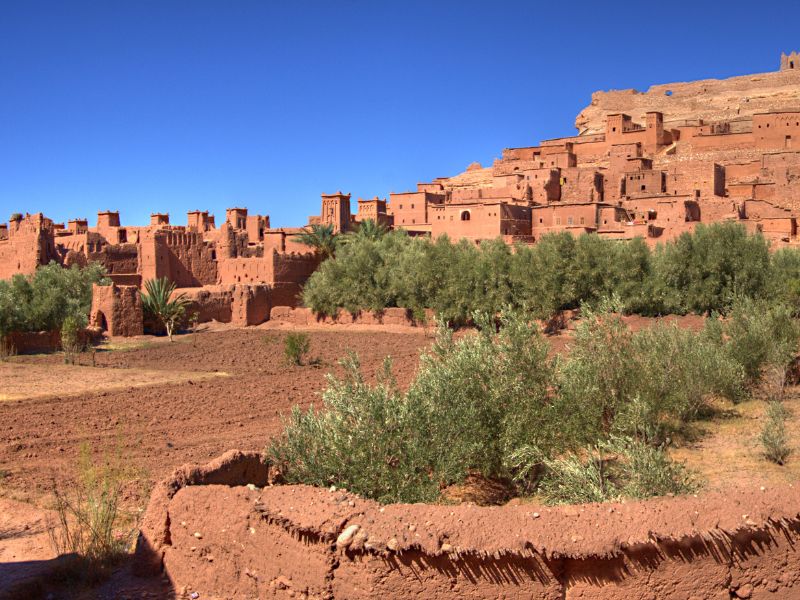 Across the Atlas: Ait Benhaddou to Marrakech