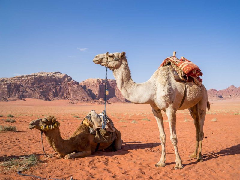 Standalone - Agafay Desert Experience