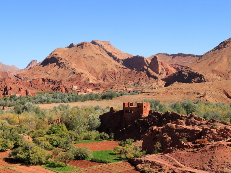 Ait Benhaddou to Dades Valley via Skoura