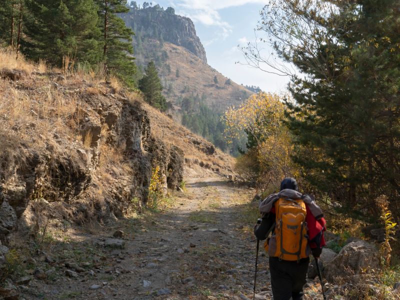 Standalone - Aromatic Gardens of Ourika Valley