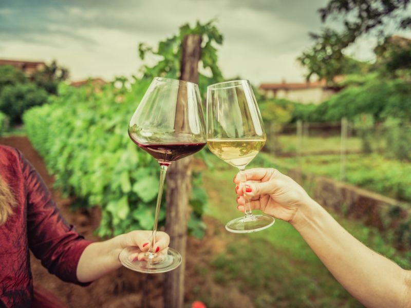 Chefchaouen to Fes: History & Flavors