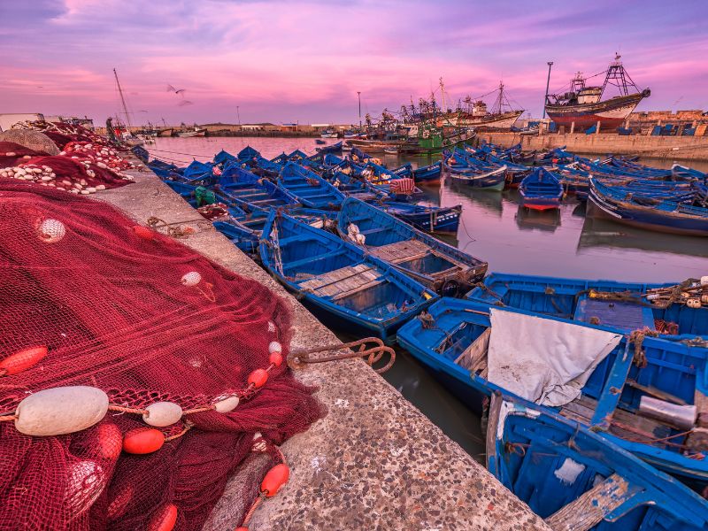 Overland Marrakech to Essaouira: Coastal Charm & Culture