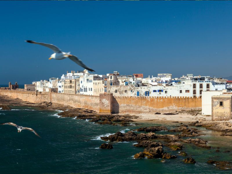 Overland Marrakech to Essaouira: Coastal Charm & Culture
