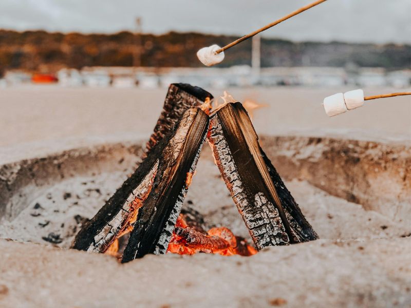 Desert Dinner Under the Stars