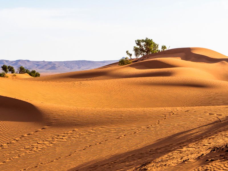 Desert Gateway: Zagora to Erg Chigaga