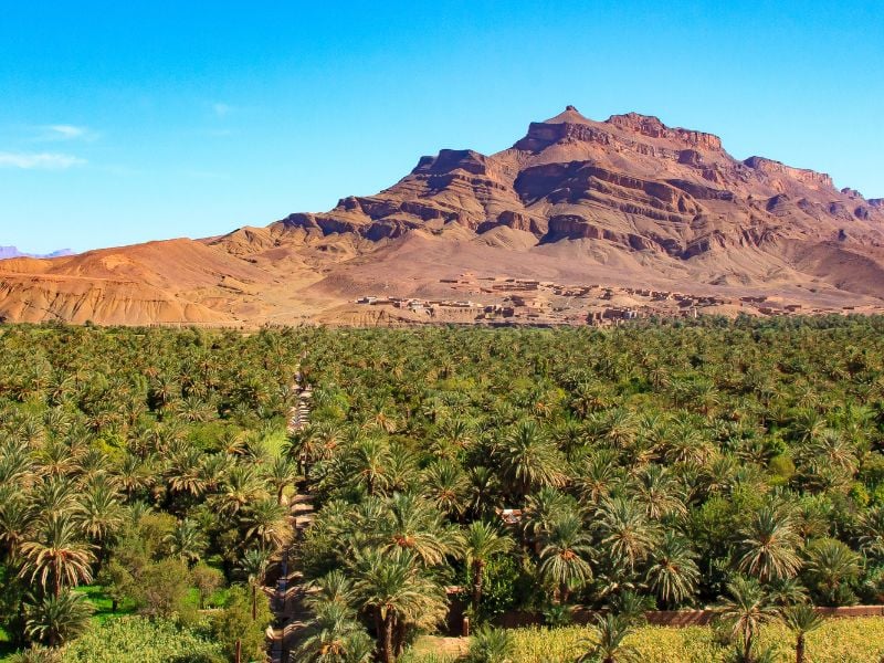 Desert to Ouarzazate Panorama