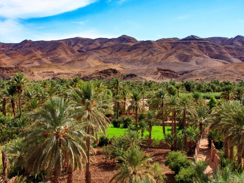 Desert to Skoura Panorama