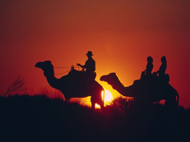 Desert Transit: Fes to Merzouga