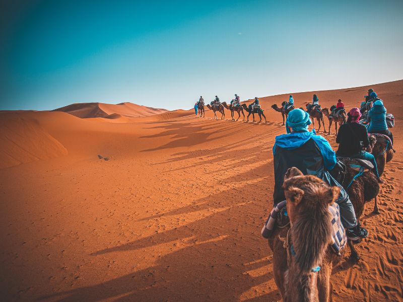 Desert Transit: Fes to Merzouga