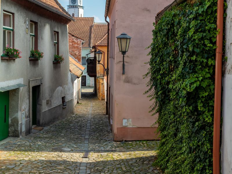 Overland - Discover Historic Tetouan