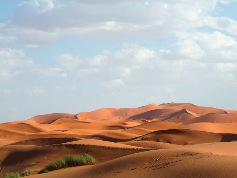 Erfoud to Merzouga Desert Experience