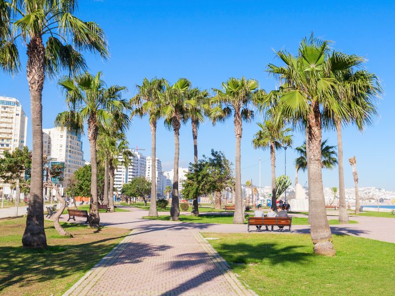 Overland - Essential Tangier