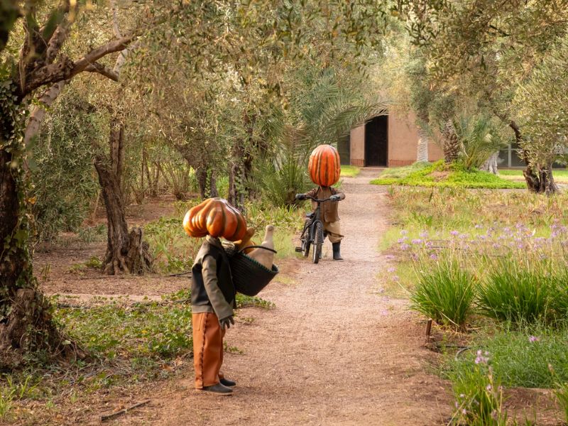 Standalone - Explore Sadaka by Vintage Sidecar