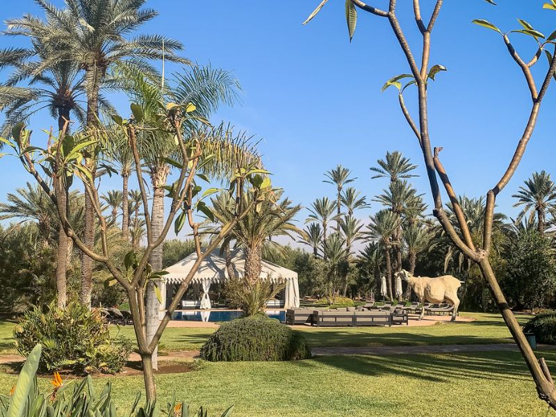 Standalone - Explore Sadaka by Vintage Sidecar