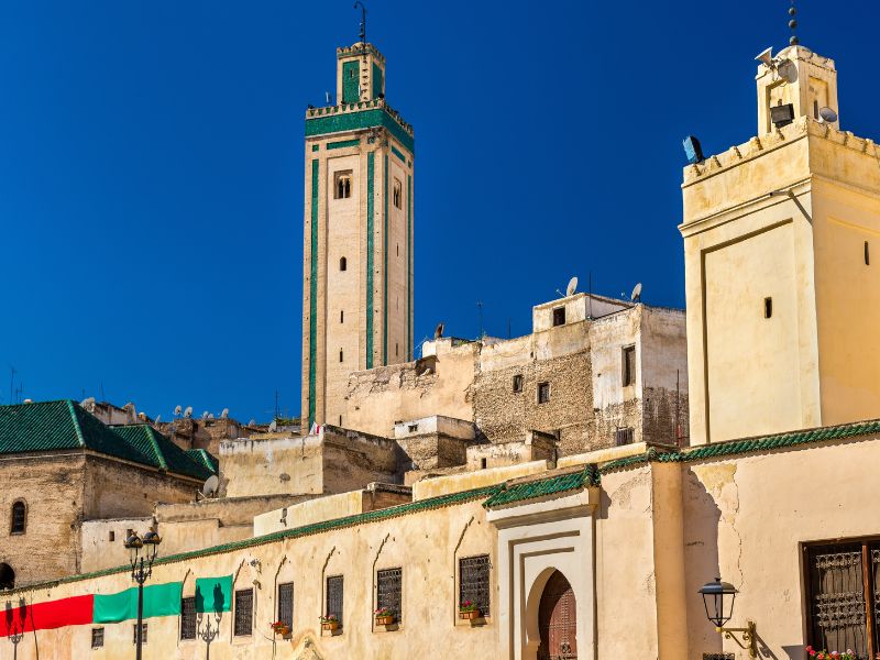 Overland - Fes Medina & Animal Welfare