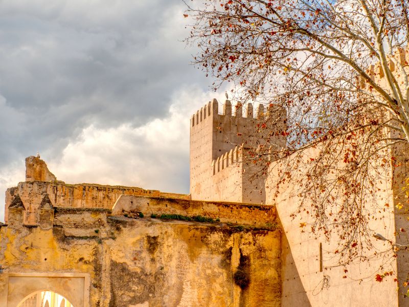 Overland - Fes Mellah & Jewish Heritage