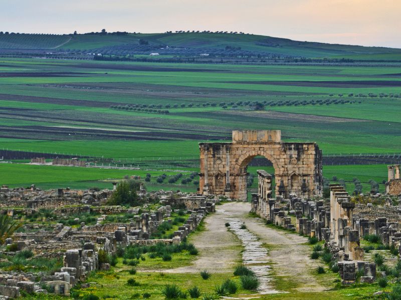 Fes to Rabat via Volubilis