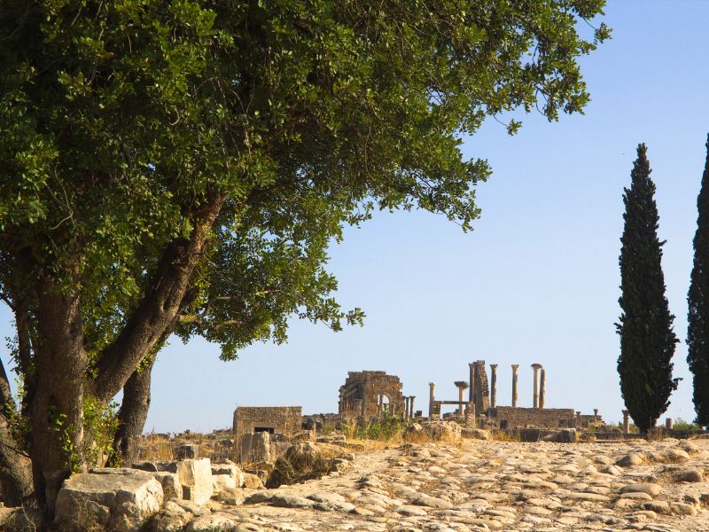 Fes to Rabat via Volubilis