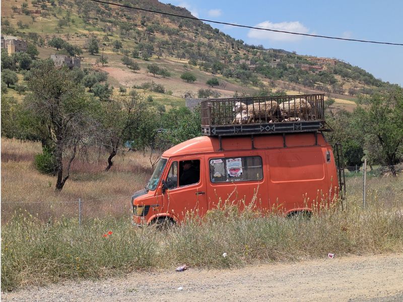 Fes to Sidi Ali: A Day in the Middle Atlas