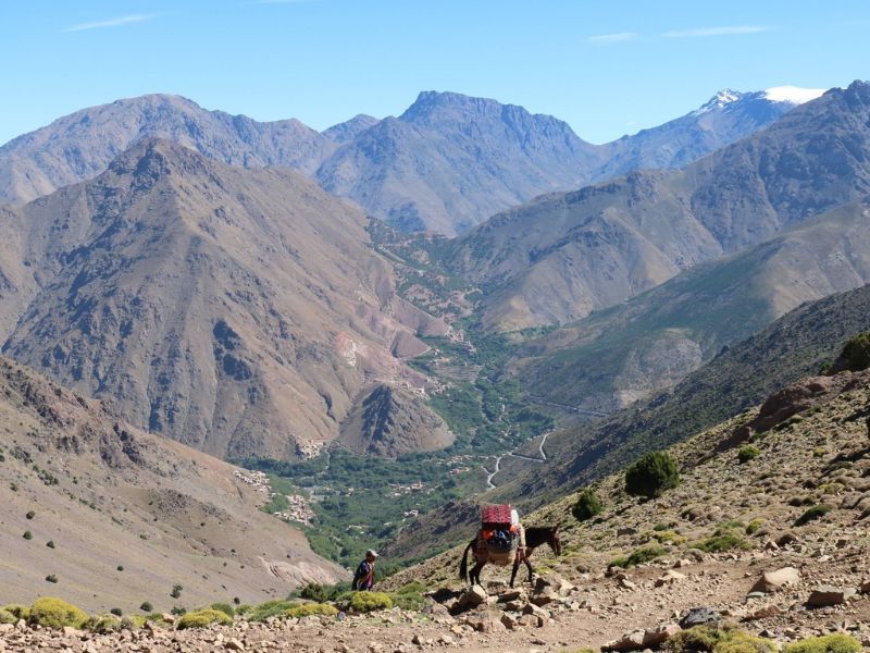 Overland - High Atlas Picnic Luxury Retreat