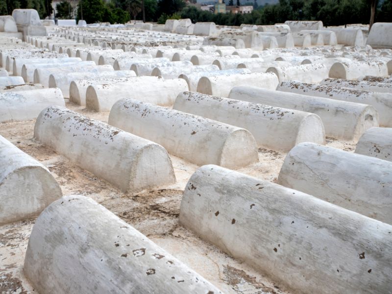 Standalone - Jewish Heritage & Culture