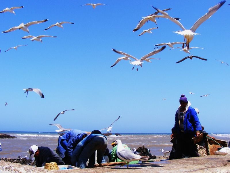 Surfing Lesson in Essaouira - Join-In