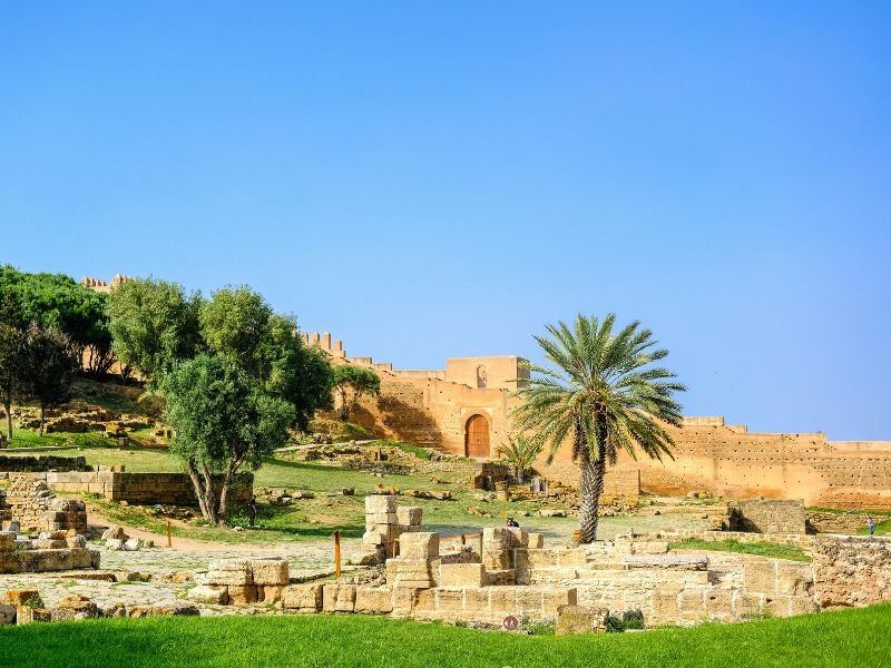 Overland - Marrakech to Rabat with Rabat Discovery