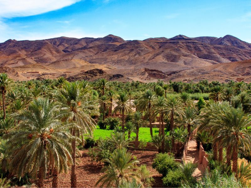 Overland - Marrakech to Zagora Through Ouarzazate