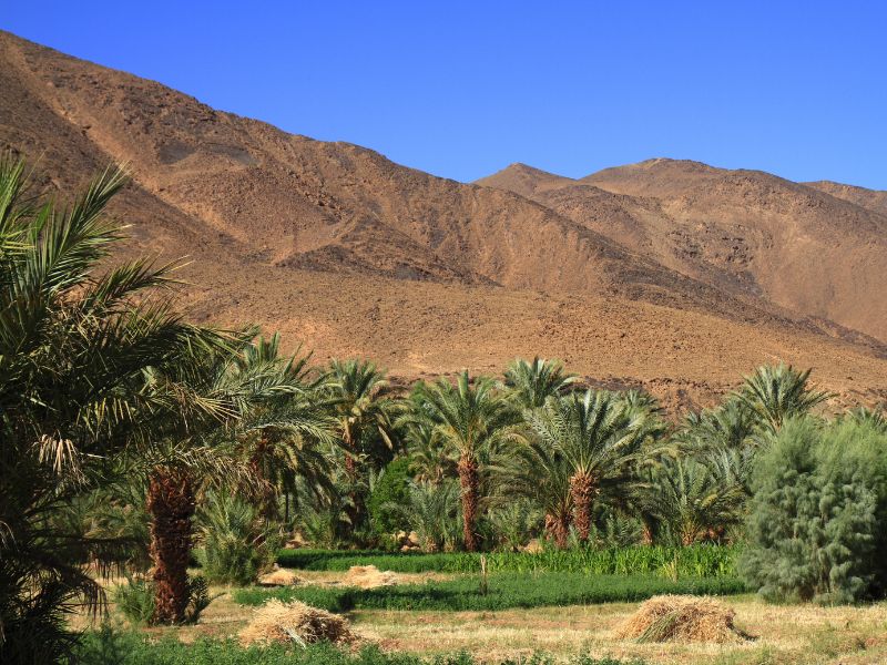 Overland - Marrakech to Zagora via Ait Benhaddou