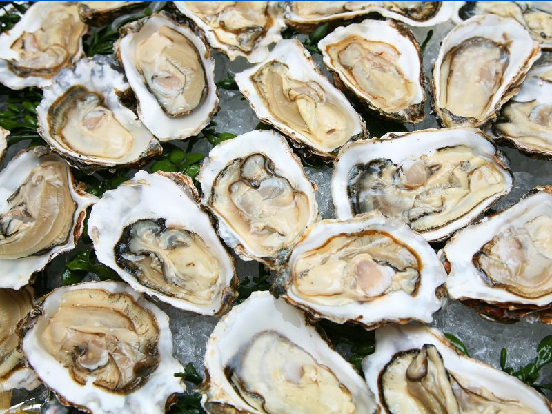 Oualidia Lagoon Culinary Journey