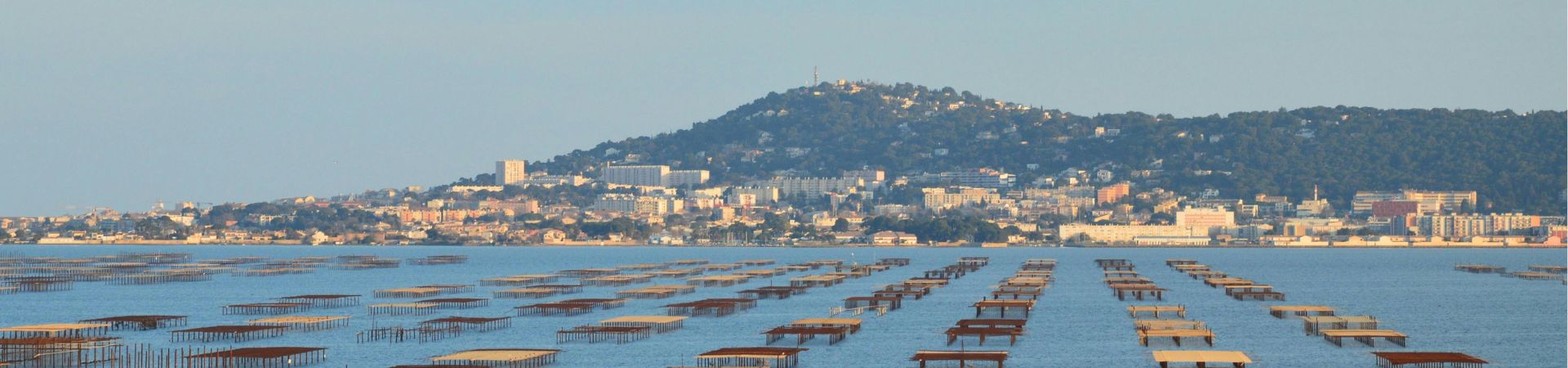 Image of Oualidia Oyster Odyssey