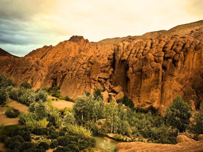 Overland- Explore the Dades Gorge & Hidden Palm Groves
