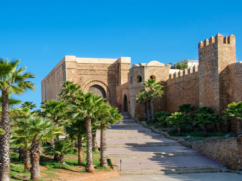 Overland - Rabat & Salé: Twin Cities Exploration