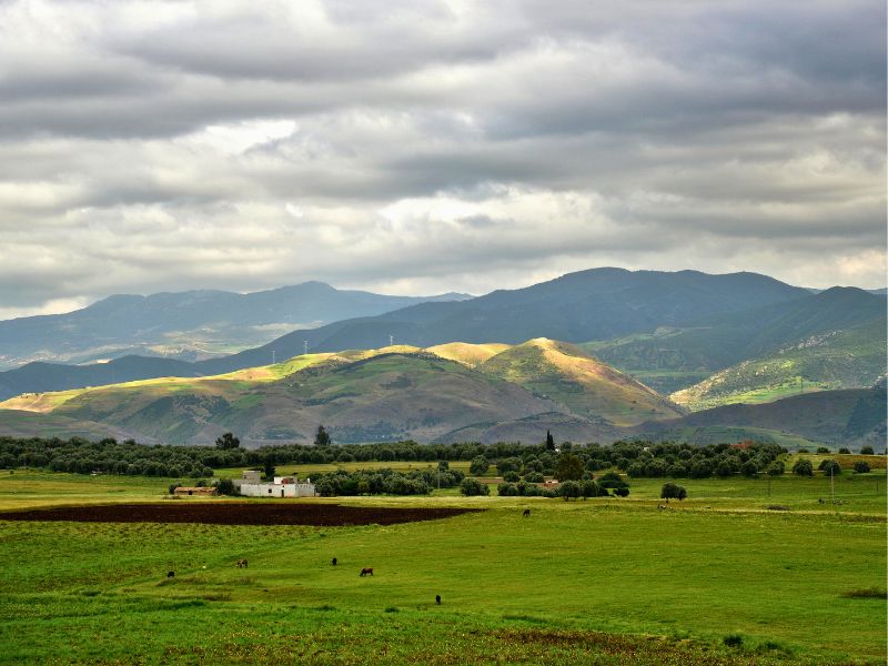 Rabat to Fes via Volubilis