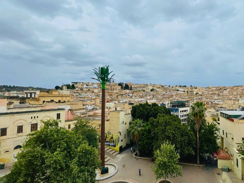 Rabat to Fes via Volubilis