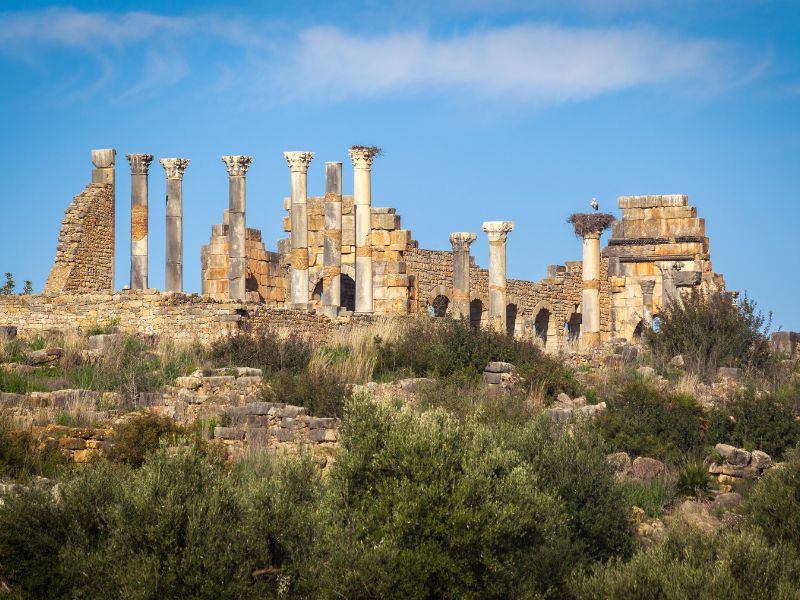 Rabat to Fes: Wine Tasting & Ancient Ruins